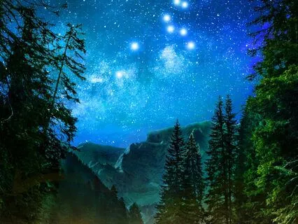 Return To Nature A Calming Forest Sleep Meditation