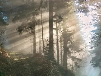 Return To Presence — A Reset For The Nervous System (35m)