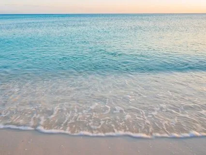 Return To Presence And Calm Your Mind In Moments