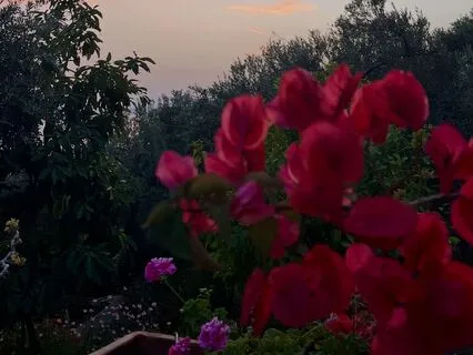 Return To Radiance: Reconnect With Your Feminine Essence