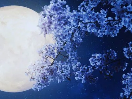 Return To Restful Sleep Extended