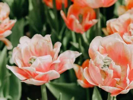 Return To Self: A Gentle Return To The Heart