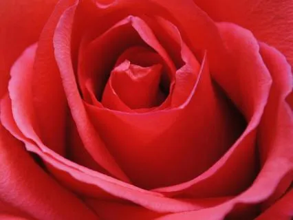 Return To Self-Love