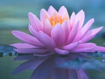 Return To Sleep Once More