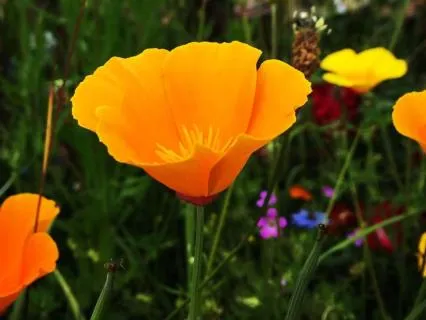 Return To Stillness - June 07