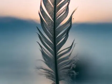 Return To Stillness: Mindful Breath Meditation