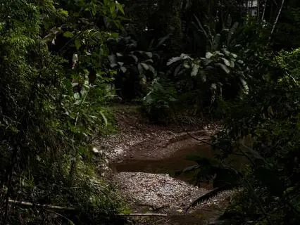 Return To The Earth | A Calming Nature Relaxation Meditation