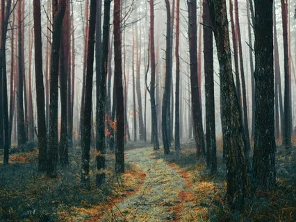 Return To The Essential Self: A Tale Of Cerridwen