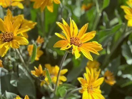 Return To The Heart: A Meditation For Cancer Season