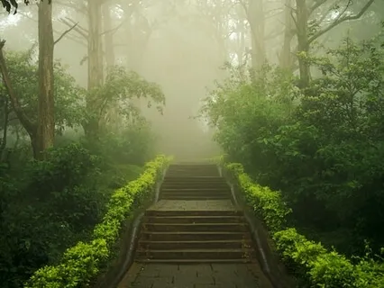 Return To The Office Or Work During A Pandemic