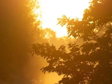 Return To The Present | A 7-Minute Sensory Reset