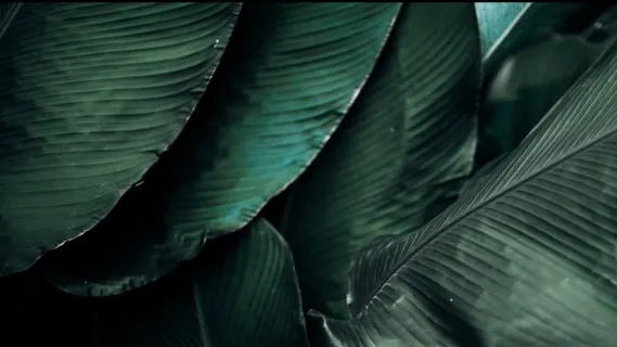 Return To The Present Moment  - 19 Minute Daily Insight