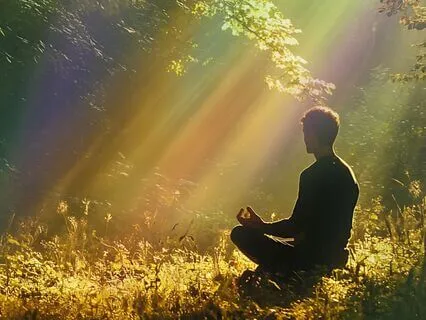 Return To The Quiet Field