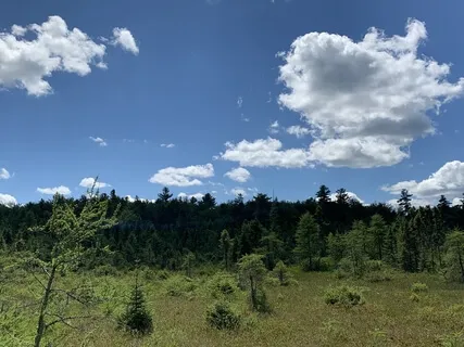 Return To You Meditation 