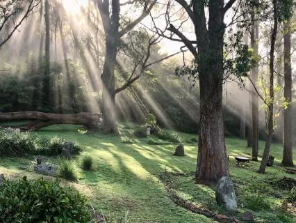 Return To Your Centre