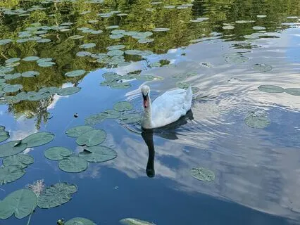 Return To Your Energy – A Meditation For Projectors