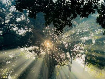 Return To Your Inner Light