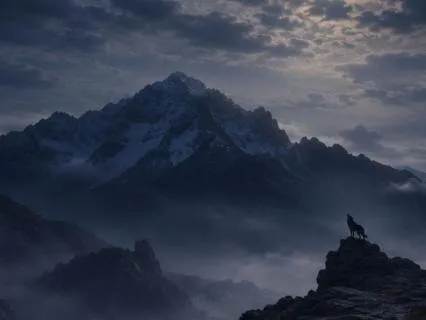 When You’re Carrying Too Much | A Meditation For Release