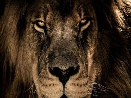 Return To Your Power! Navigating Defeating Negative Beliefs