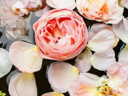 Return To Yourself A Meditation For Self-Love & Appreciation