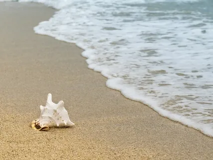 Returning To Balance By Connecting To Your True Inner Self