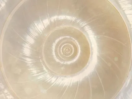 Returning Home · Vocals & RAV Drum · 3-Min Sound Meditation