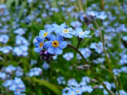 Returning To Centre - May 31