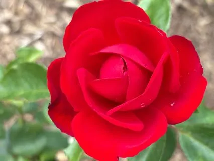 Returning To Colour: A Visualization For Women In Transition