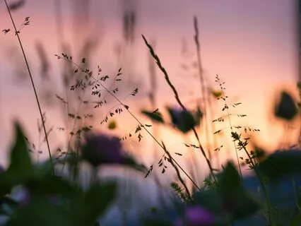 Returning To Feeling Calm And Connected