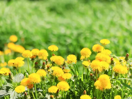 Returning To Meditation