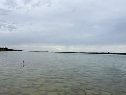 Returning To Nature & Harmony