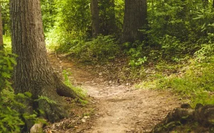 Returning To Our Inner Peace