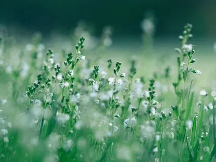 Returning To Presence