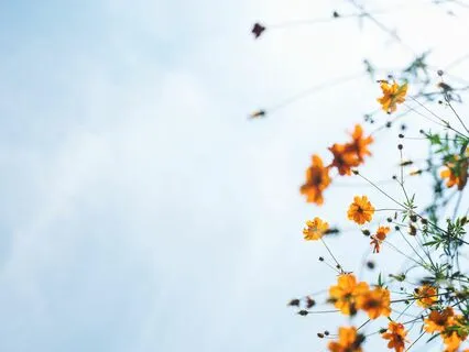 Returning To Safety - Somatic Practice For Overwhelm