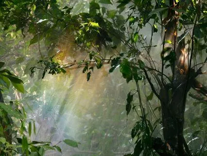 Returning To The Body After Betrayal