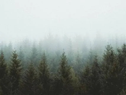 Returning To The Body