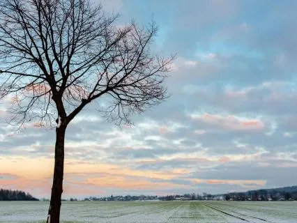 Returning To The Breath