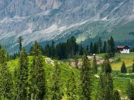 Returning To The Heart