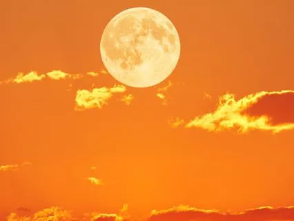 Returning To The Inner Light