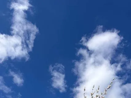 Returning To The Present Moment.