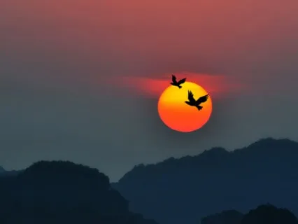 Returning To The Rhythm Of The Earth