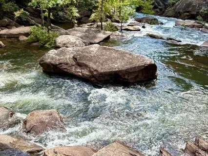 Returning To The Waters Of Knowing