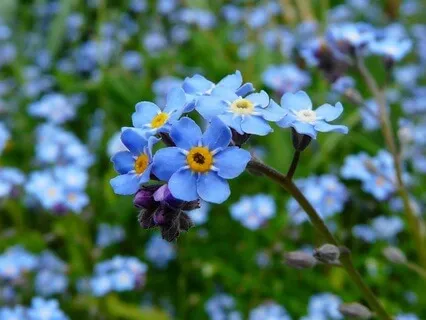 Returning To What Nourishes You - May 22