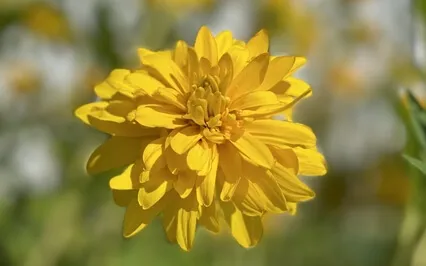 Returning To Your Center