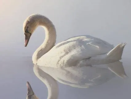 Returning To Your Center