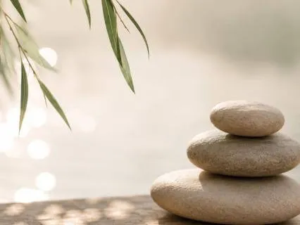 Returning To Your Own Knowing