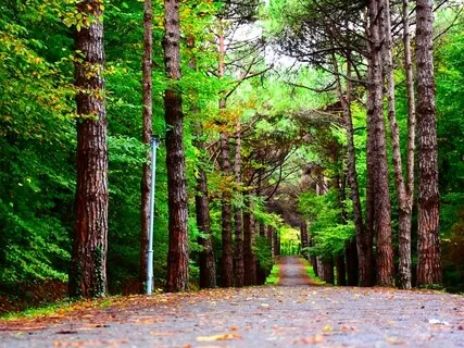 Returning To Your True Self