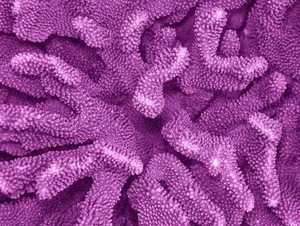 Returning To Your Younger Self