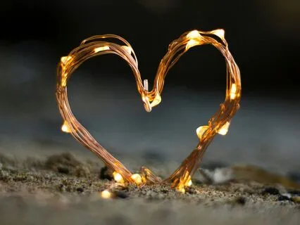 Reuniting Heart And Pelvis: For Healing The Inner Divide