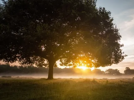 Reveal & Boost Your Power (Awaken Inner Voice)